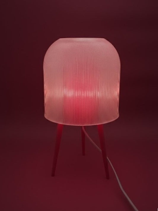 Anes Lamba | Işığın Sessizce Hatırlattığı Anlar