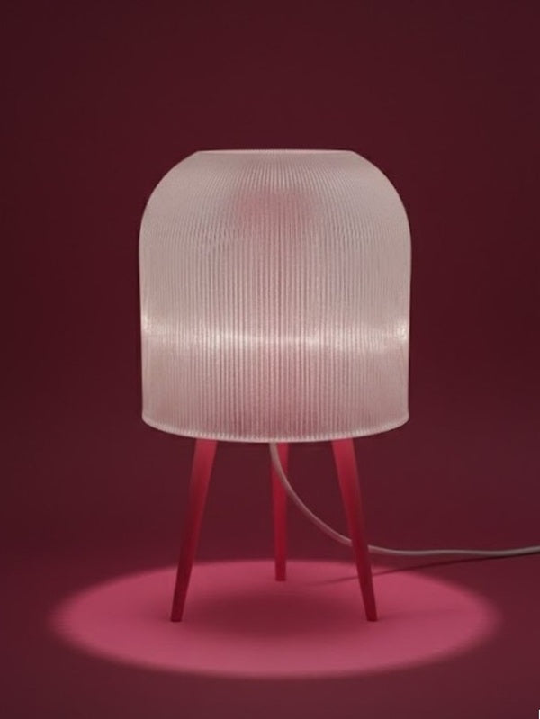 Anes Lamba | Işığın Sessizce Hatırlattığı Anlar