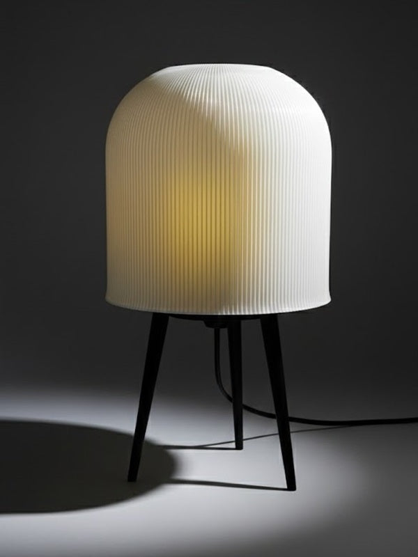 Anes Lamba | Işığın Sessizce Hatırlattığı Anlar