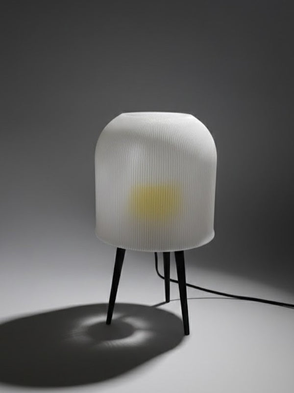 Anes Lamba | Işığın Sessizce Hatırlattığı Anlar