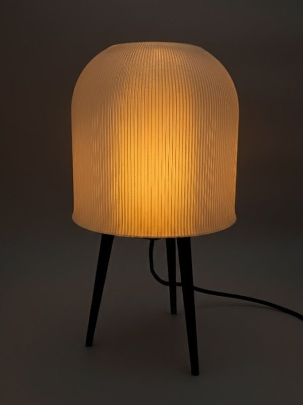 Anes Lamba | Işığın Sessizce Hatırlattığı Anlar