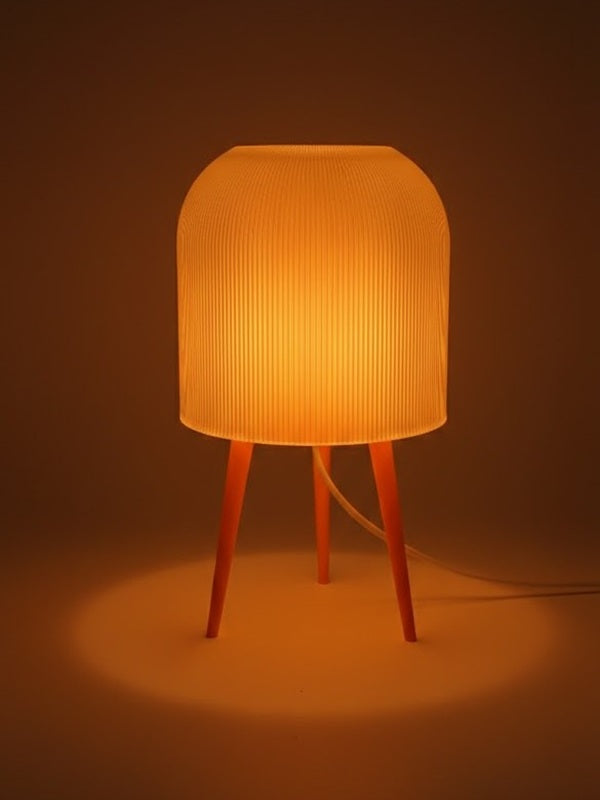 Anes Lamba | Işığın Sessizce Hatırlattığı Anlar