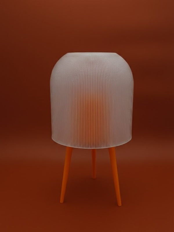 Anes Lamba | Işığın Sessizce Hatırlattığı Anlar